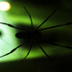 Illustration for article titled How I learned to stop worrying and love the radioactive spiderwebs
